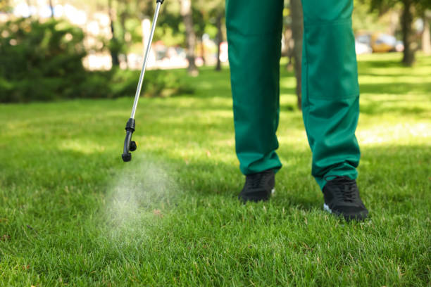 Best Wasp Removal Services  in Madison, OH