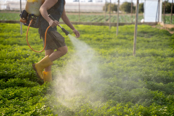 Best Pest Prevention Services  in Madison, OH