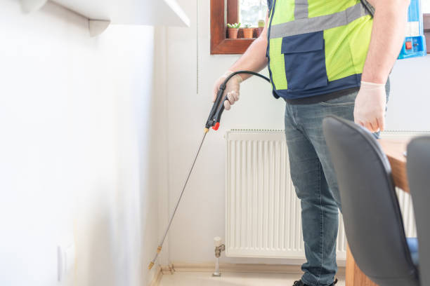 Best Termite Control Services  in Madison, OH