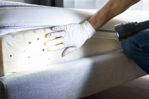 Best Exterminator Services  in Madison, OH