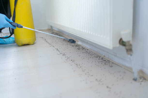 Best Affordable Exterminators  in Madison, OH
