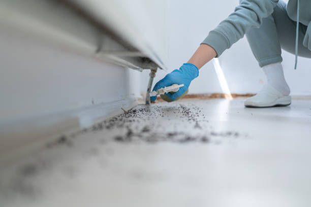 Best Exterminator Services  in Madison, OH